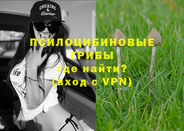дживик Наволоки