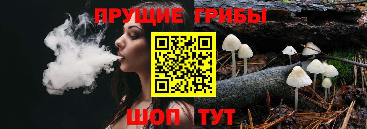 Псилоцибиновые грибы Cubensis Красноуфимск