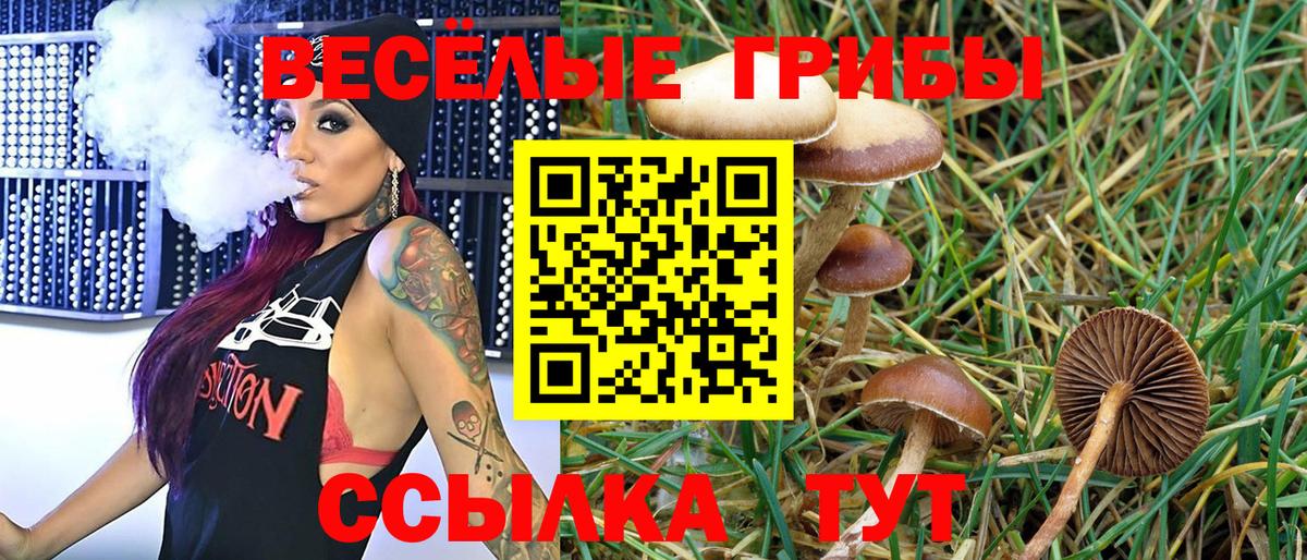 Красноуфимск  Галлюциногенные грибы Psilocybine cubensis  Вход с VPN  Галлюциногенные грибы прущие грибы 